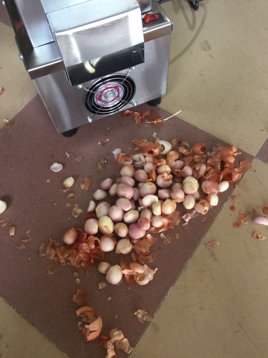 Máy bóc vỏ hành